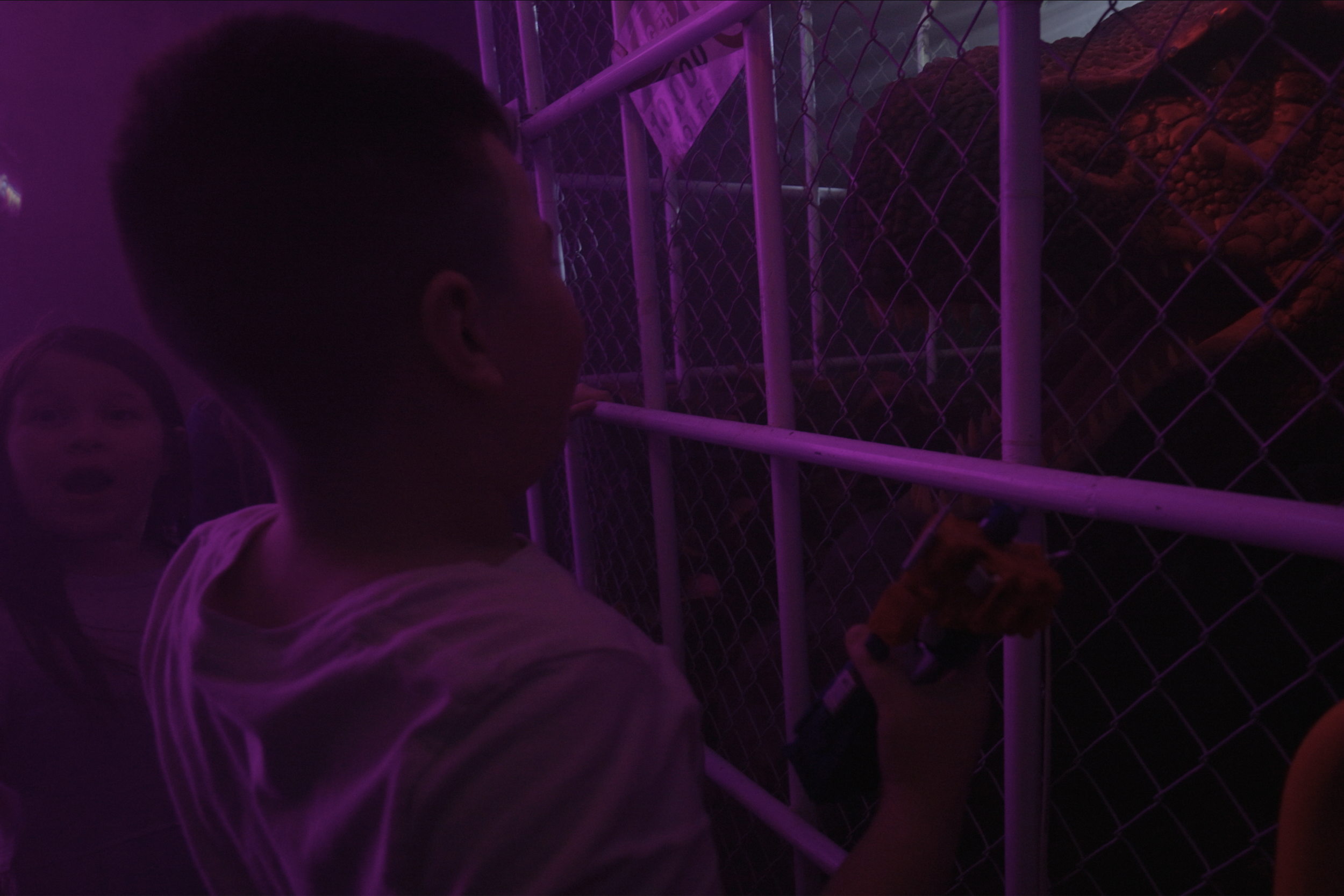 Jurassic World