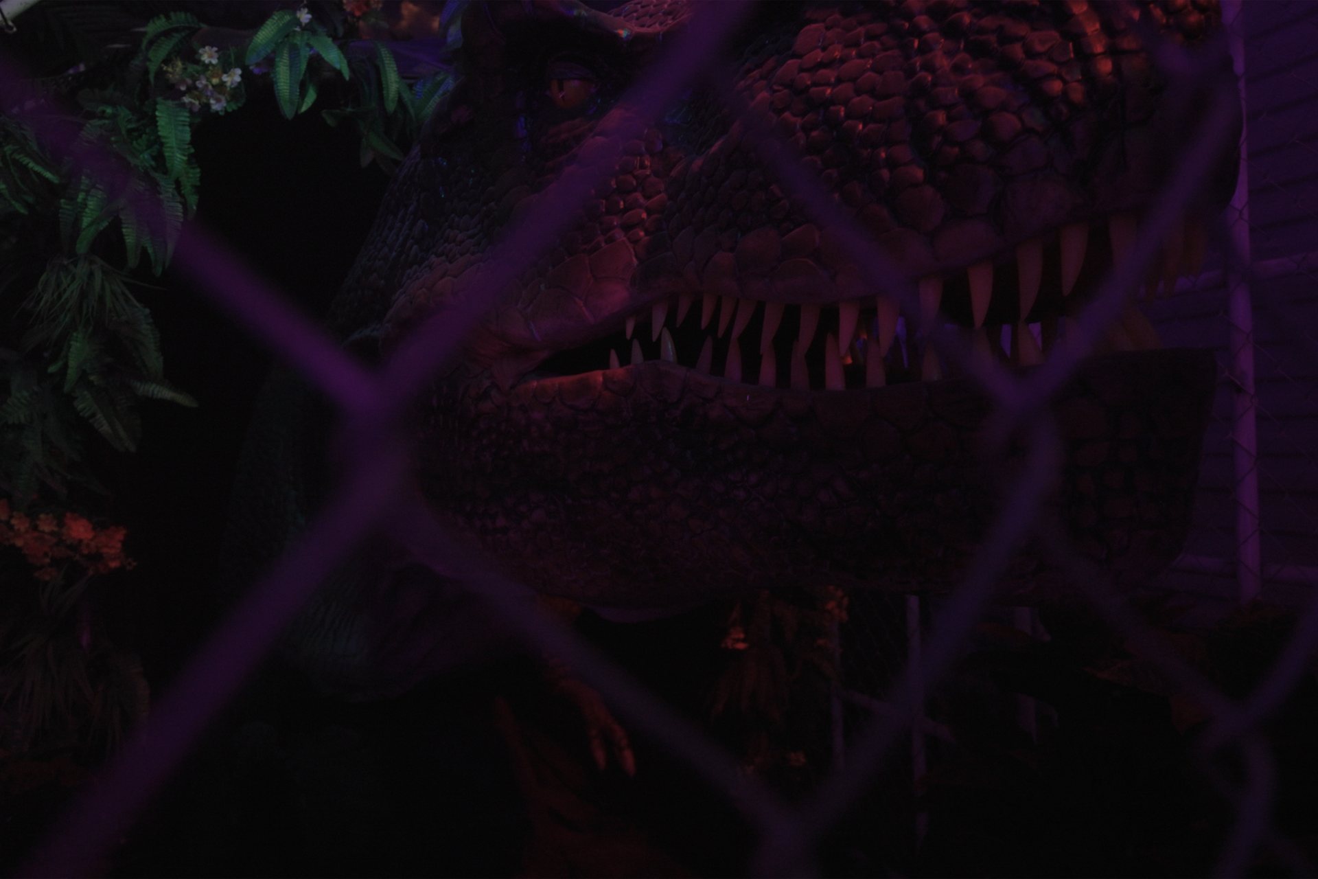 The animatronic T-Rex in the Jurassic Game Room